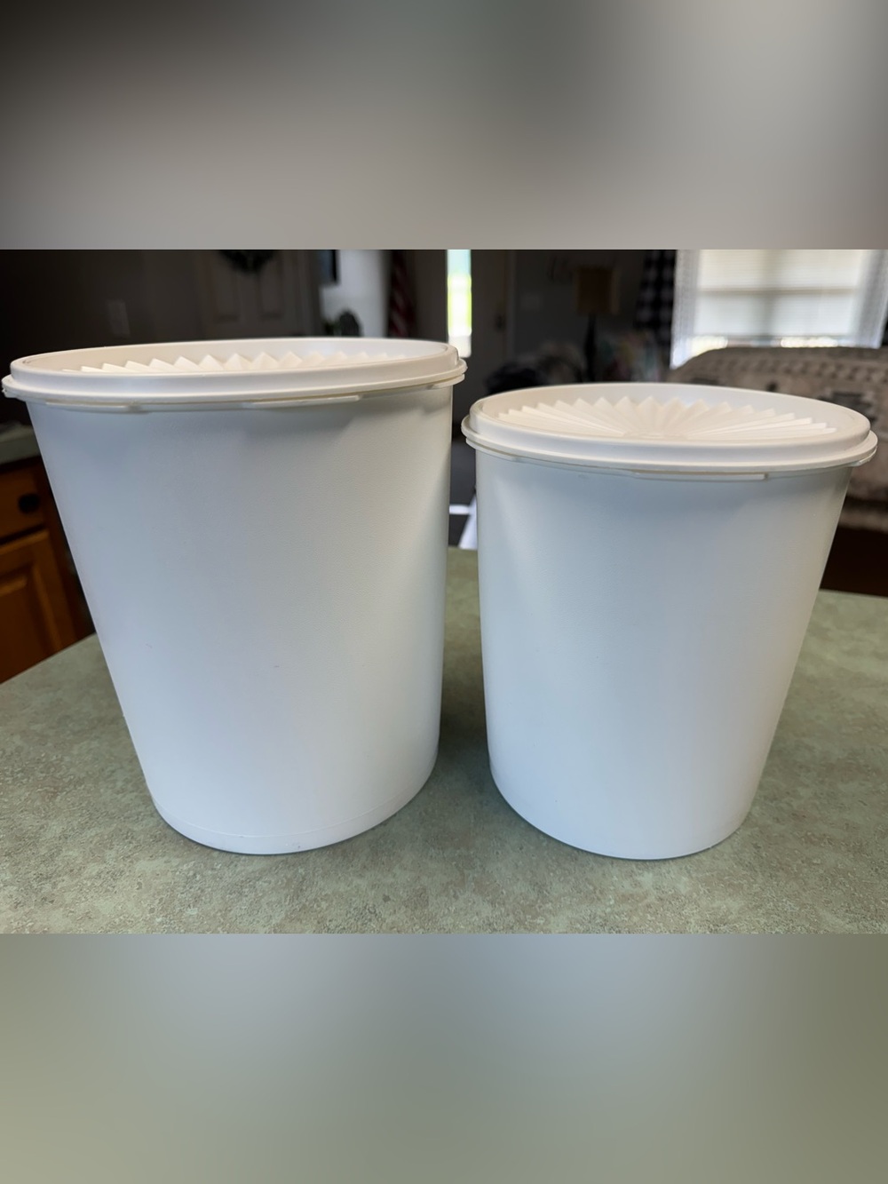 Vintage Tupperware Plastic Storage Canisters with Lids - Set of 2